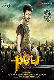 Puli