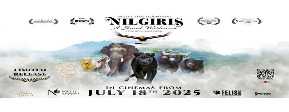 Nilgiris: A Shared Wilderness